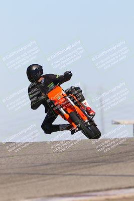 media/Oct-06-2025-2WTD (Mon) [[90522c3a0b]]/B Group/1120am (Grapevine)/